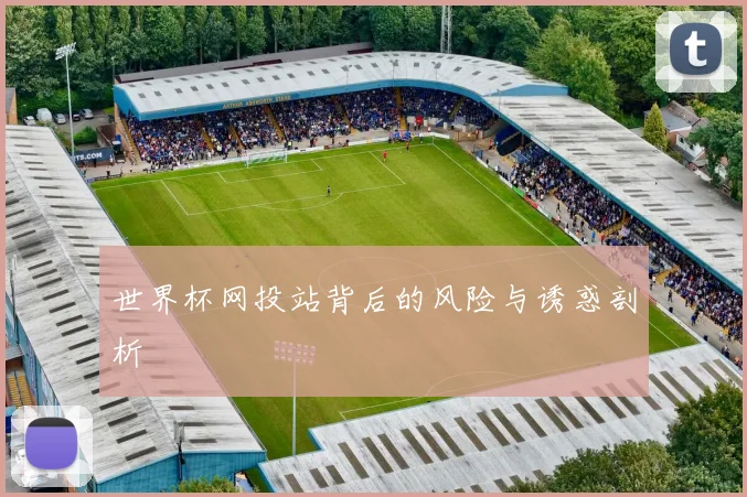 世界杯网投站背后的风险与诱惑剖析