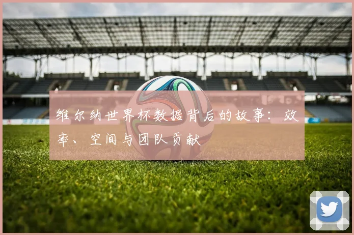 维尔纳世界杯数据背后的故事:效率、空间与团队贡献