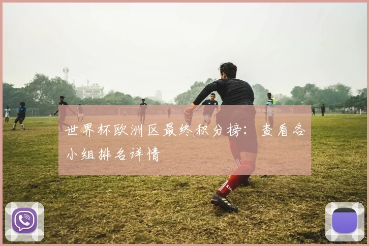 世界杯欧洲区最终积分榜：查看各小组排名详情