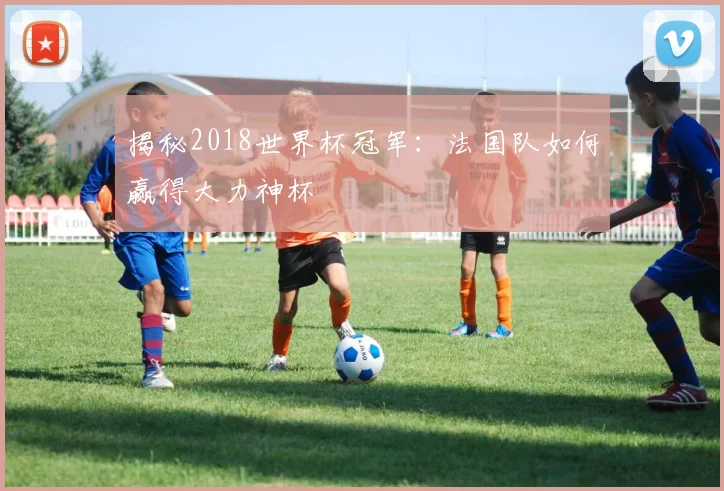 揭秘2018世界杯冠军：法国队如何赢得大力神杯